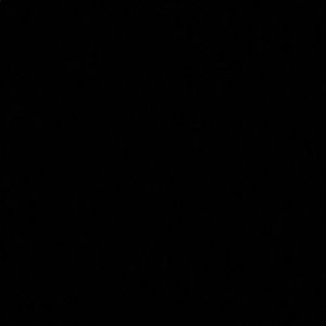 Meet your Posher, Raymond